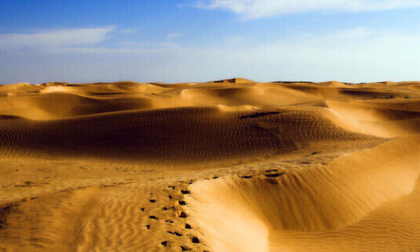 词语解释解析：金蛇狂午升平岁，桂花香来是佳人，释义最佳成语解释
