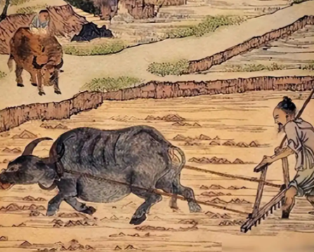 满语“尼堪”:历史长河中的文化符号与误解澄清