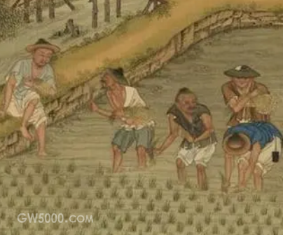 宋朝时期为何会出现粮食产量剧增的现象？