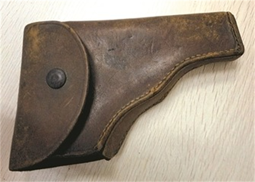 杨勇伟:智勇双全、大显神威的新四军敌工英雄